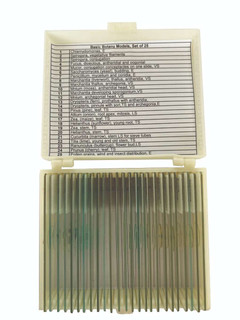 Basic Botany Models Slide, Set of 25 209330