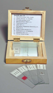 Biology Prepared Slide, Set of 12 210434 Biology Prepared Slide, Set of 12 210434