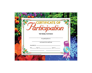 Certificate of Participation - Pack of 30 - 220520
