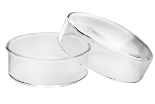 Petri Dish, 2" (50mm) - Beaded Edges - Easy to Sterilize for Repeated Use - Borosilicate Glass - 224794