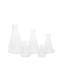 GLASS ERLENMEYER FLASKS, SET OF 5 229906