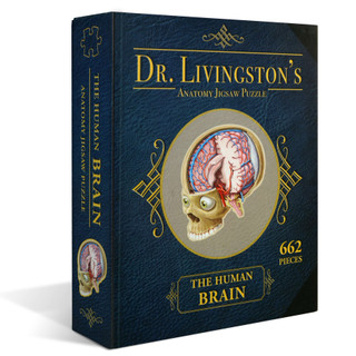 Dr. Livingston's Anatomy Jigsaw Puzzle: The Human Brain 247810