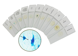 Cells Alive: Guided Inquiry Kit Refill Pack_main