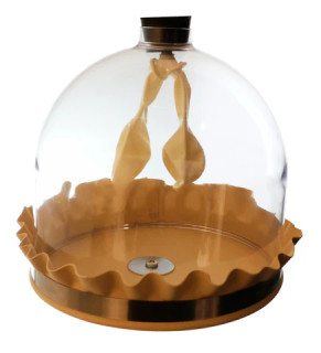 Lung Demonstration Model is a visual demonstration of the function of a lung and atmospheric pressure. Size 8"x8". Lung Demonstration Model is a visual demonstration of the function of a lung and atmospheric pressure. Size 8"x8".