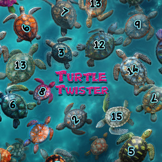 Turtle Twister Math Mat_1 Turtle Twister Math Mat_1