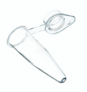 Eisco Labs: PCR Tubes Pp 0.2ml Flat Cap, Clear Pack of 100_main