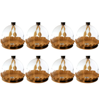 Lung Demonstration Model for Breathing & Air Pressure, Case 8_MAIN