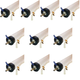 Coin and Feather Demonstration for Physical Science, Case of 10_MAIN