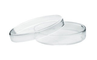 Eisco Labs: Petri Dish 80 x 15mm Soda Glass_main