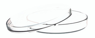 Eisco Labs: 100 x 17mm Borosilicate Glass Petri Dish – Durable & Clear_main
