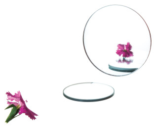 Eisco Labs: Convex Glass Mirror, 50mm Diameter, 100mm Focal Length_main