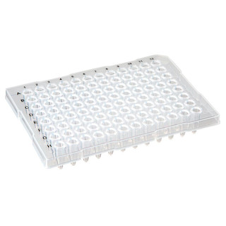 0.2mL 96-Well Half-Skirt PCR Plate, Flat Top, Clear_main
