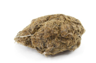 Eisco Labs: Simulated Owl Pellet Biology Learning Model, 3 x 2in_main