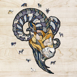 RAM Classic Puzzle Large Wooden Brain Teaser_main