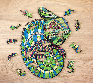 Chameleon Classic Large Wooden Puzzle Toy_main