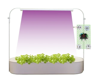 Smart Hydroponics Indoor Growing Kit_main