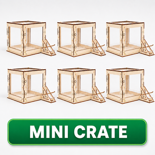  Terrarium Mini Crate Science Kit (Pack of 6)_main