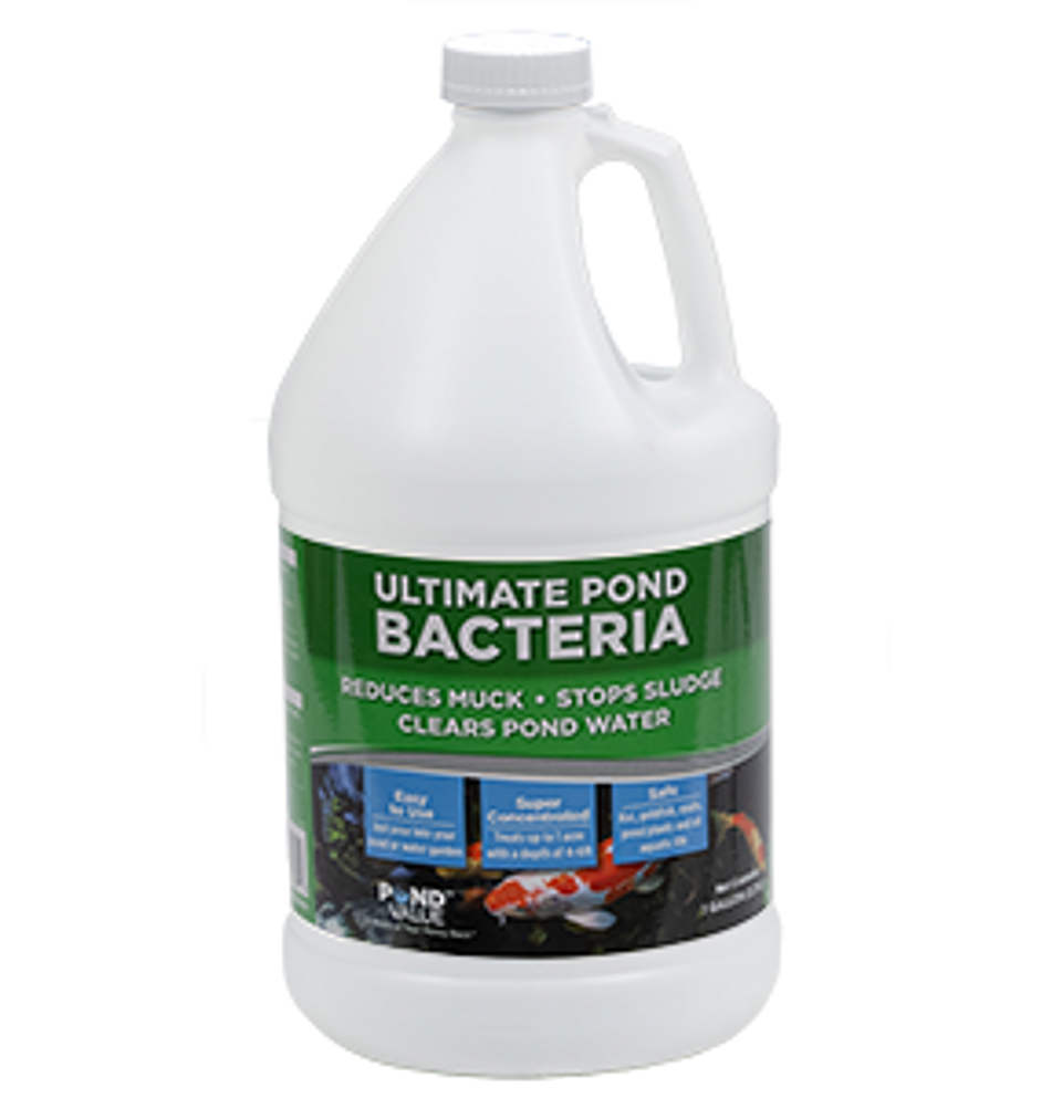 Ultimate Pond Clarifier Natural Bacteria PondValue Ultimate Pond Clarifier Natural Bacteria PondValue