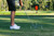 Tour Aim Golf Tour Aim 2.0 w/ 3 Alignment Sticks & Alignment Stick Headcover - Image 2