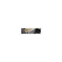 Établi en bois franc à hauteur réglable de 6 pi (182,9 cm) Gladiator® GAWB06HWGW