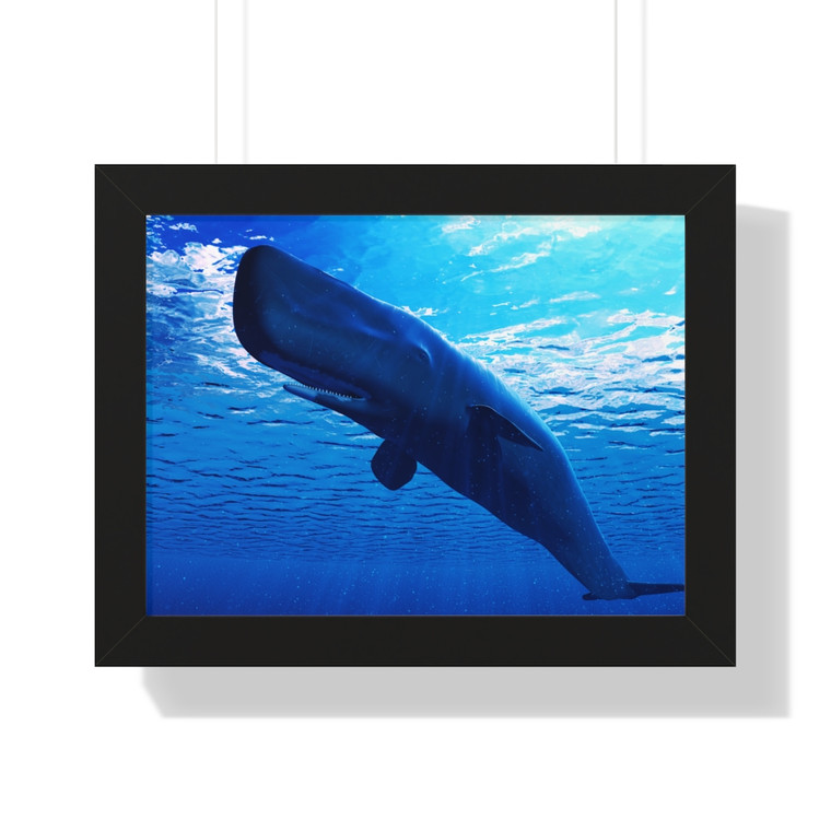Sperm Whale Framed Horizontal Poster