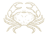 Crab