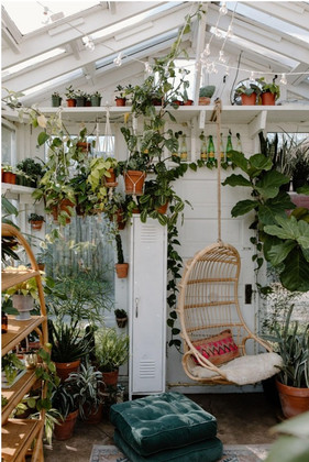 Bring the Outdoors Indoors! (Furniture, That Is)