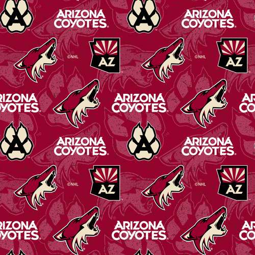 arizona coyotes store