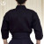 Kiyoharusaku double layer Kendogi back Kiyoharusaku double layer Kendogi back