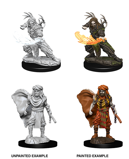 Mini Human Druid "Male" Nolzur WV6