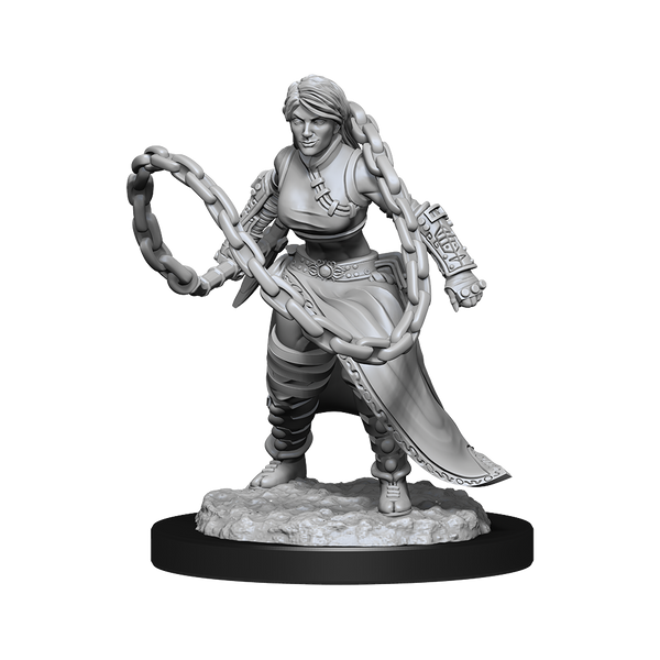 Mini Human Monk "Female" Nolzur WV14