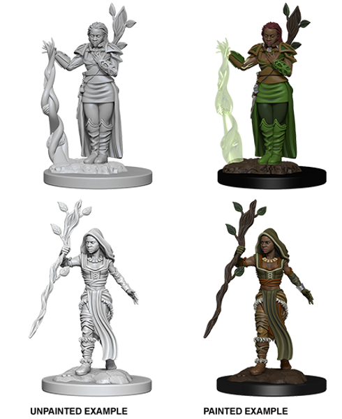 Mini Human Druid "Female" Nolzur WV2