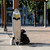 Stella Prebuilt 42" Pintail Quil Longboard