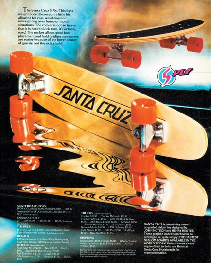 サンタクルーズ SANTA CRUZ スケート　スケボー サンタクルーズ SANTA CRUZ スケートボード コンプリート