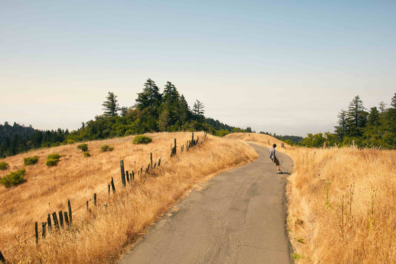 The Best Pintail Longboards