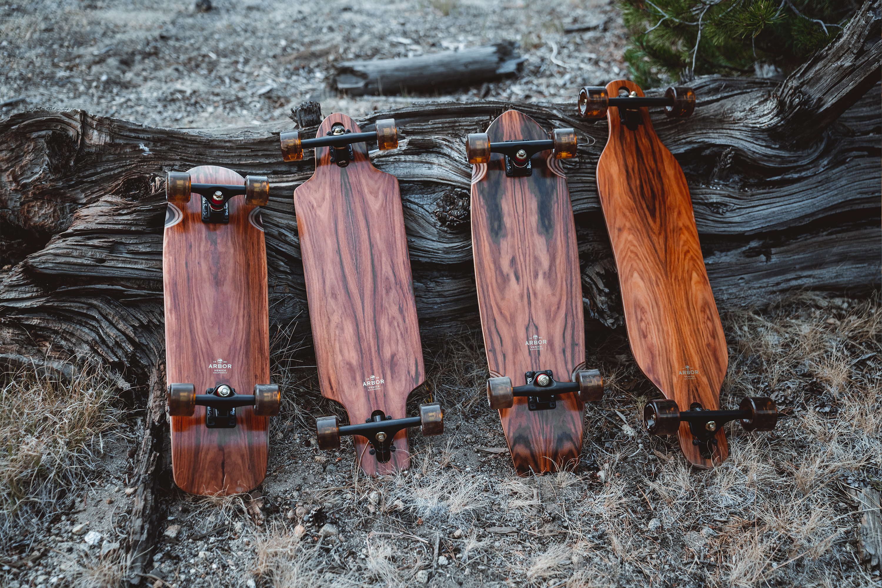 Arbor Skateboards — A Quick History