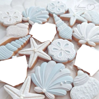 Seashore Cookies 2