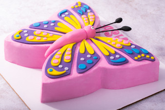 Butterfly Sheet Cake