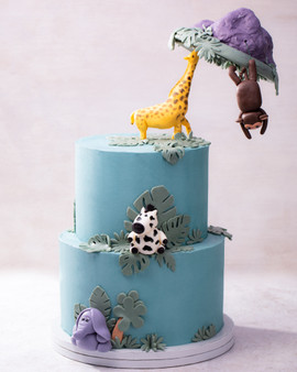 Safari Floating Cake