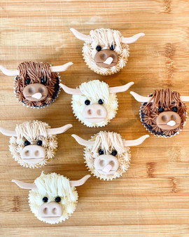 Highlands Cows Cupcakes