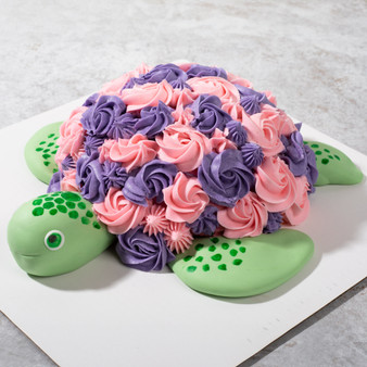 Turtle Cake