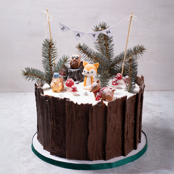 Winter ONEderland Cake