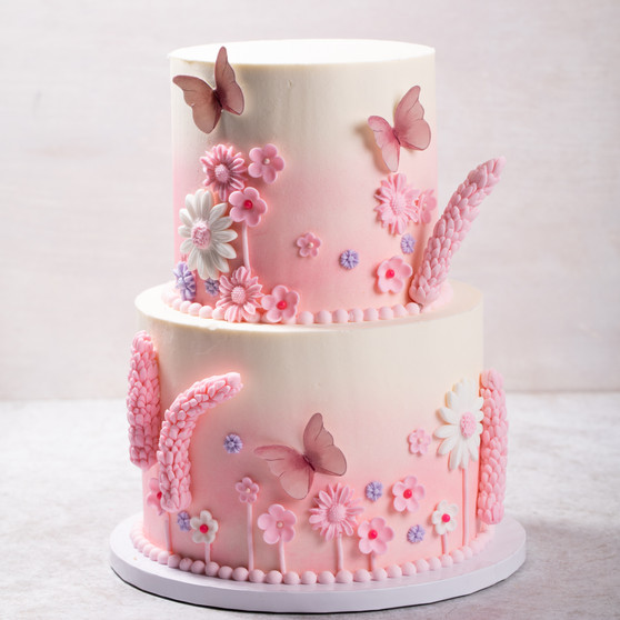 Butterfly Field Cake