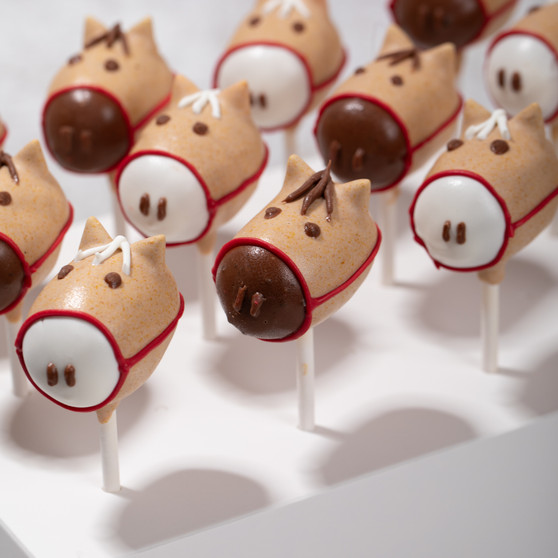 Equestrian Cake Pops