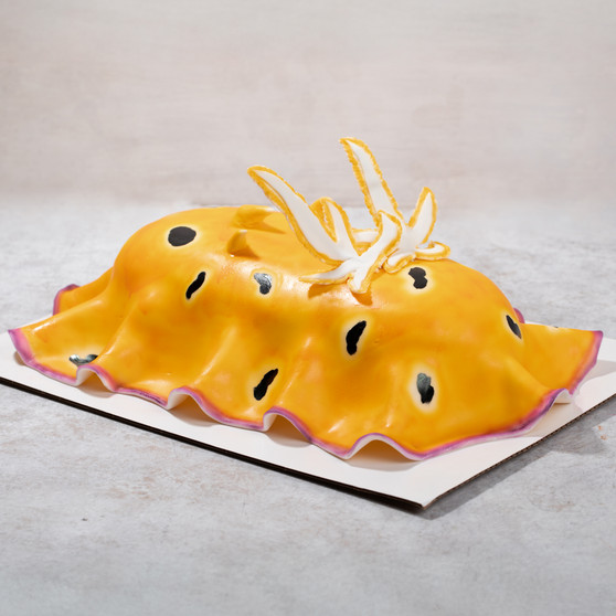 Nudibranch Cake