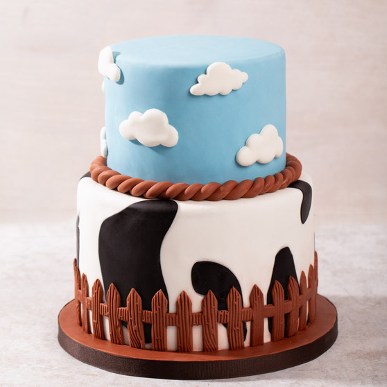 Barnyard Cake