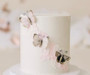 Fairy Butterflies Cake