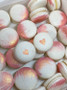 Gold Brushed Macarons