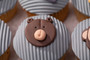 Safari Cupcakes