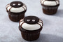 Spooky Spider Cupcakes